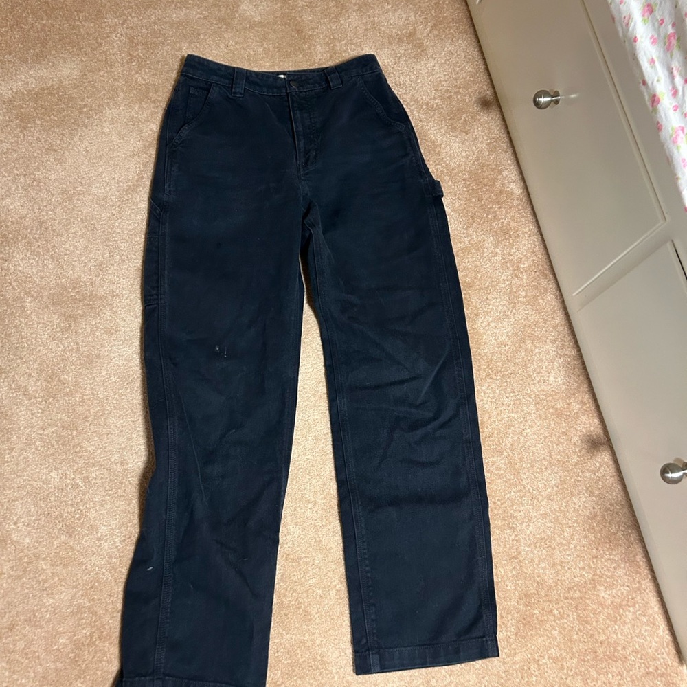tna carpenter pants
